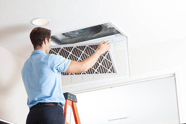 Best HVAC air duct cleaning  in Willmsburg, IA